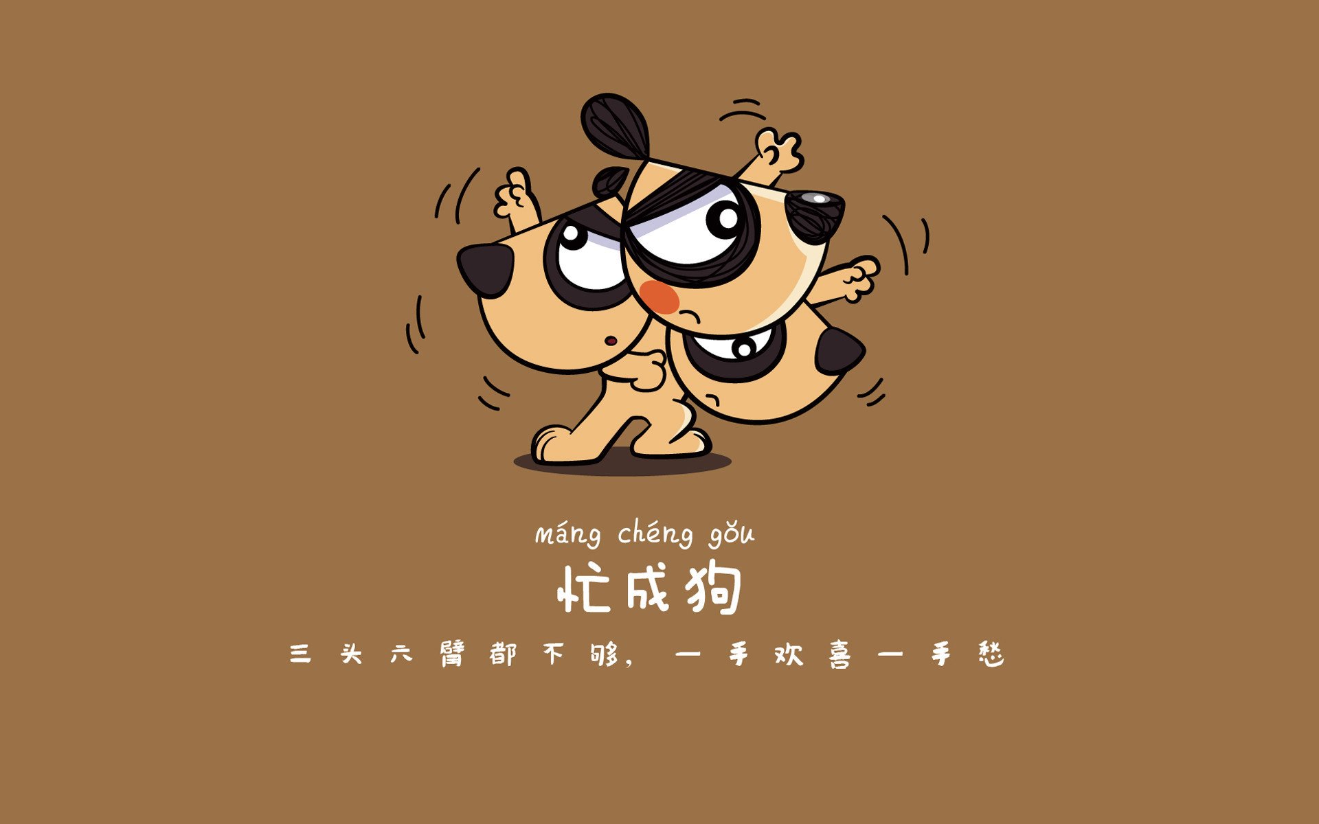 世界乒乓球联赛俱乐部青训投入回报第57版白皮书发布，世界乒乓球联合会